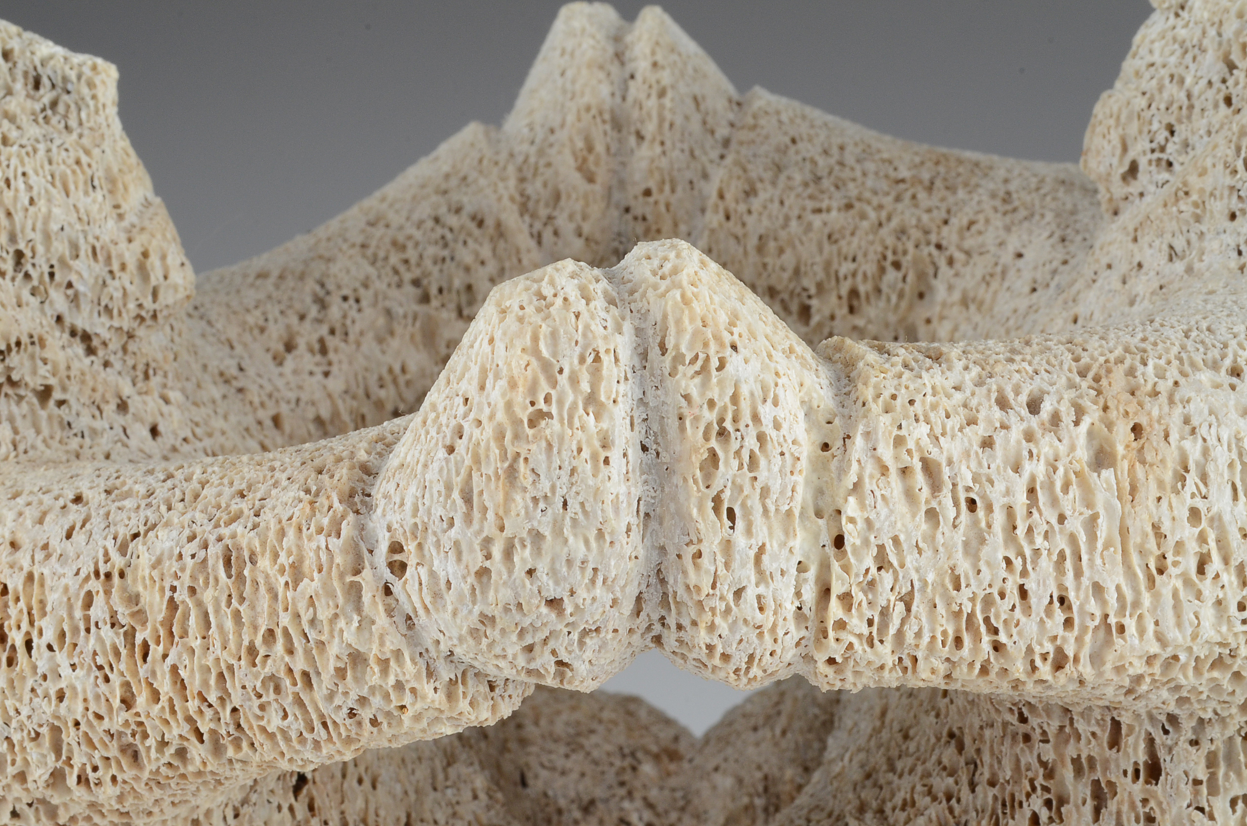 Inuit Petrified Whale Vertebrae Sculpture