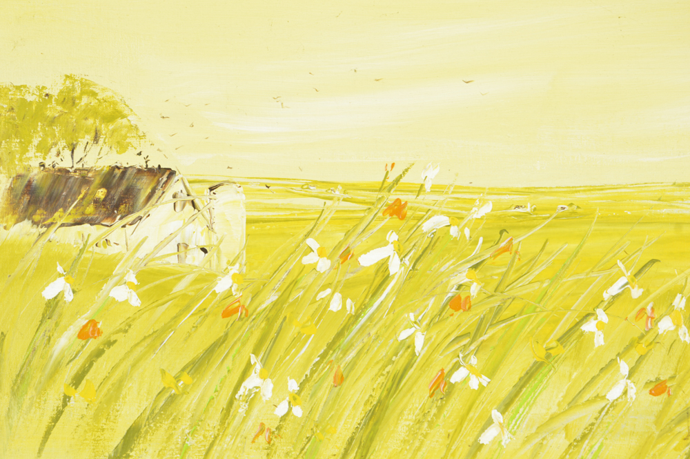 Dot Woodall Original Oil On Canvas