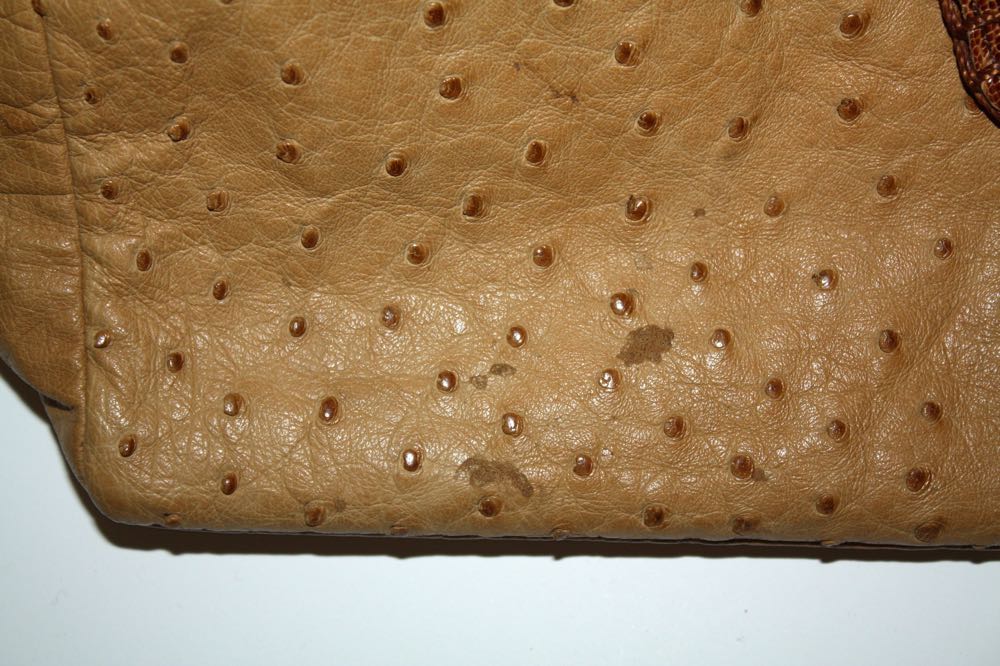 Brahmin Croc Purse and Chi by Falchi Purse