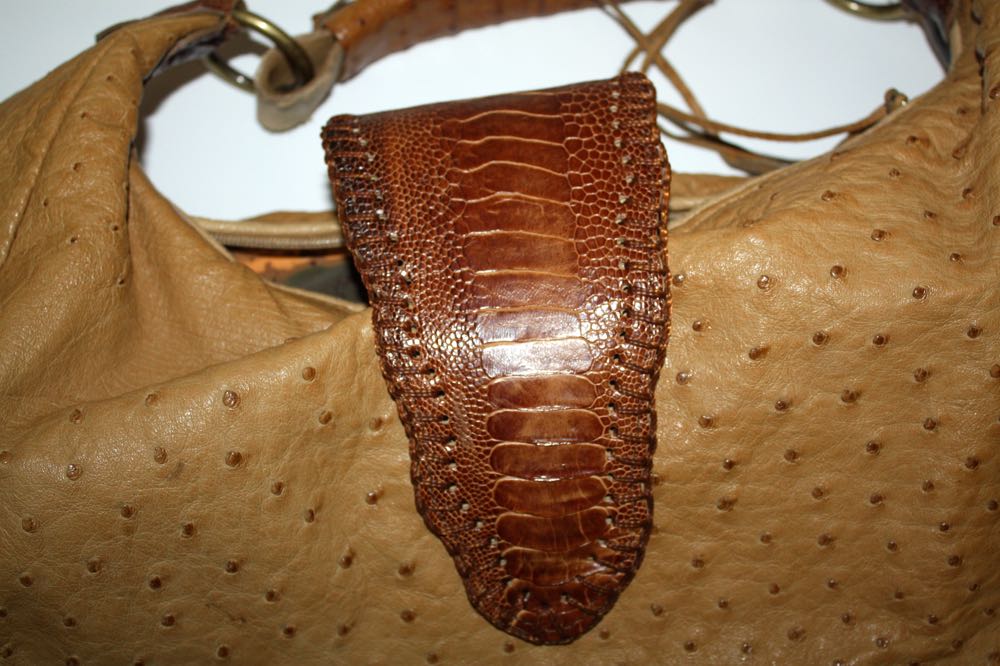 Brahmin Croc Purse and Chi by Falchi Purse