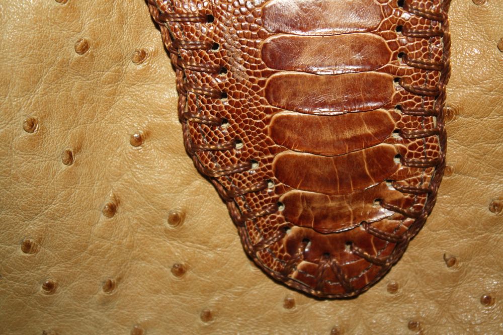 Brahmin Croc Purse and Chi by Falchi Purse