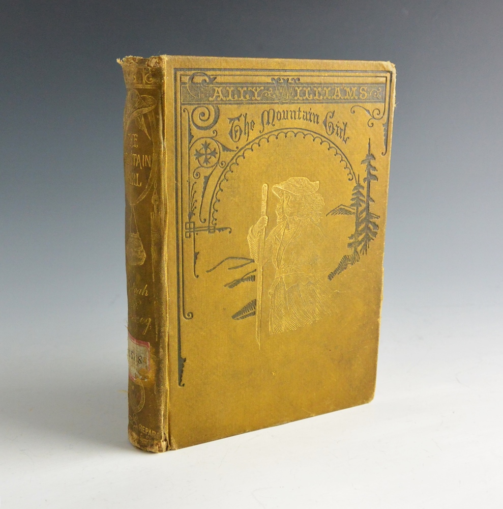 1st Edition 1872 E.D. Cheney  "Sally Williams The Mountain Girl"
