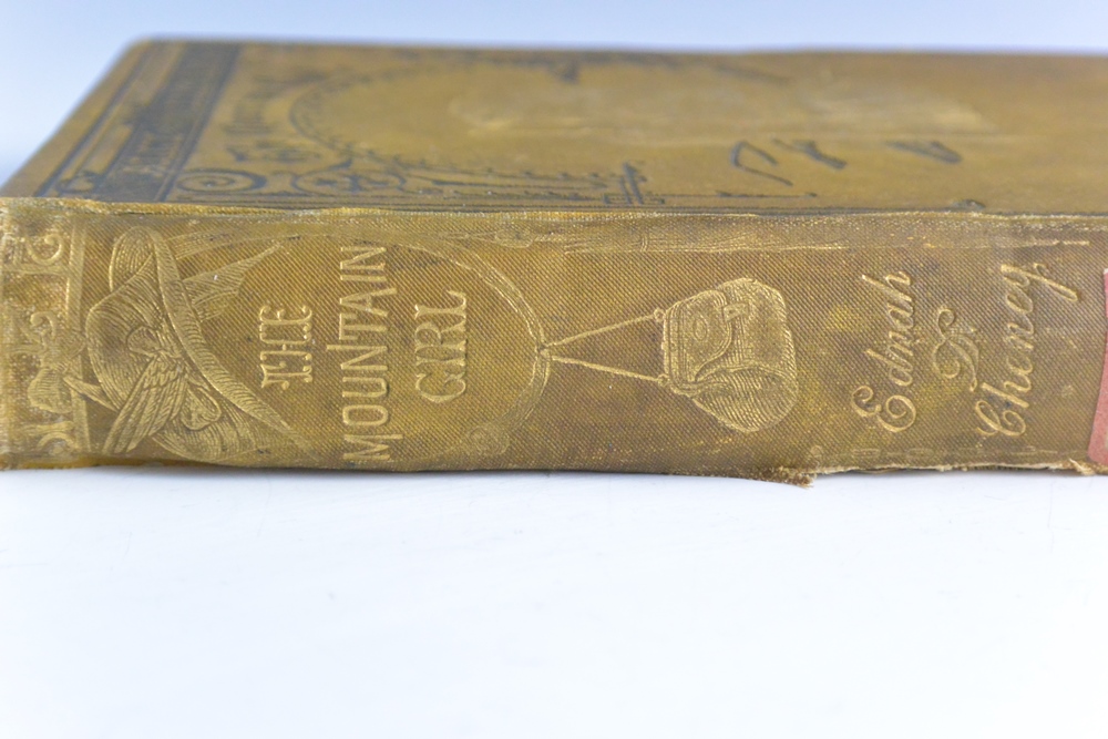 1st Edition 1872 E.D. Cheney  "Sally Williams The Mountain Girl"