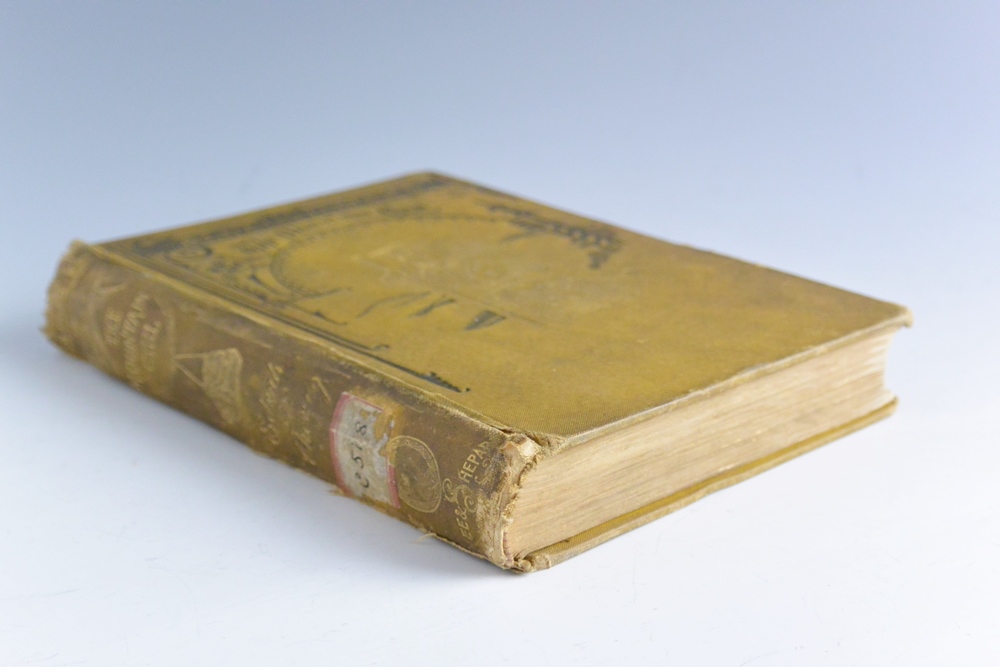 1st Edition 1872 E.D. Cheney  "Sally Williams The Mountain Girl"