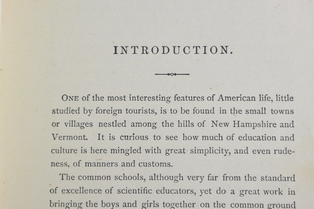 1st Edition 1872 E.D. Cheney  "Sally Williams The Mountain Girl"
