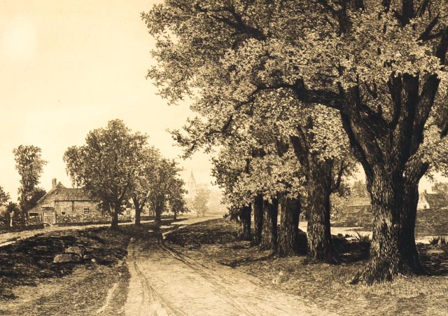 "The Old Elm Road" Antique Etching By Ernest C. Rost