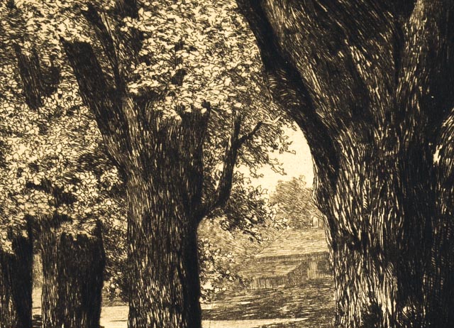 "The Old Elm Road" Antique Etching By Ernest C. Rost