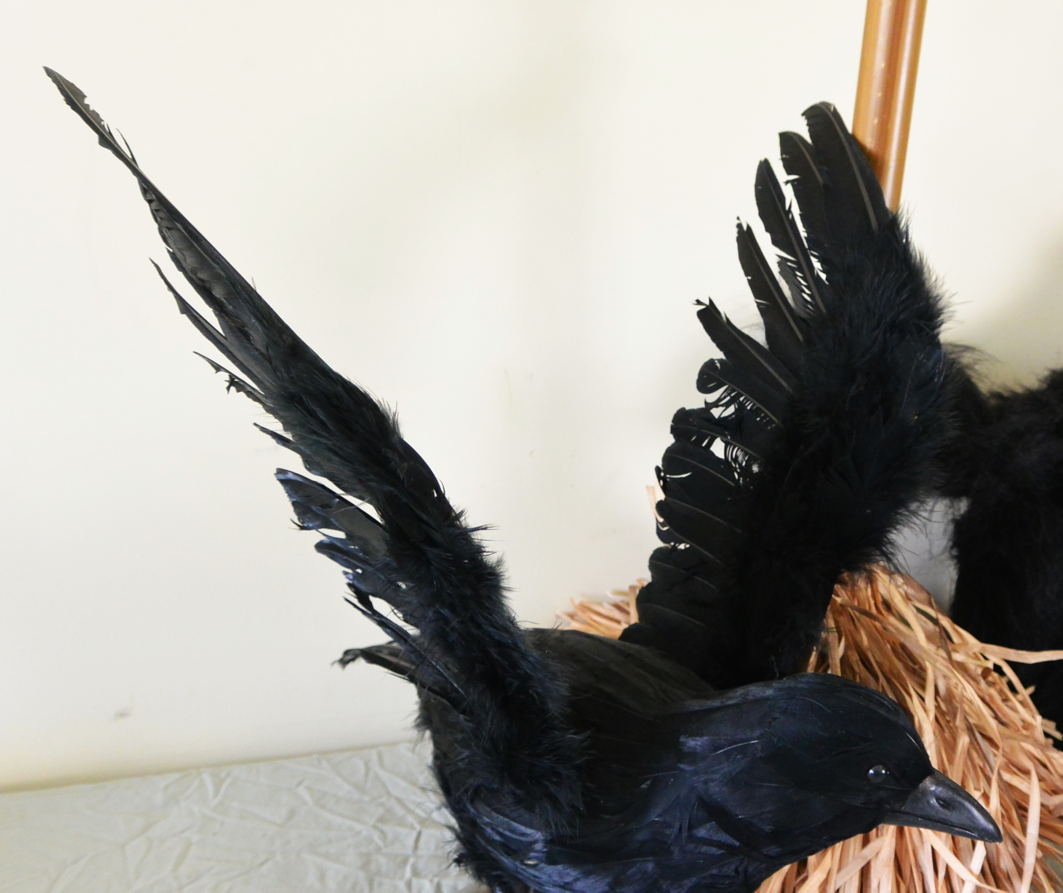 Hallween Spinning Screeching Brooms,  Witches Hand Platter & More