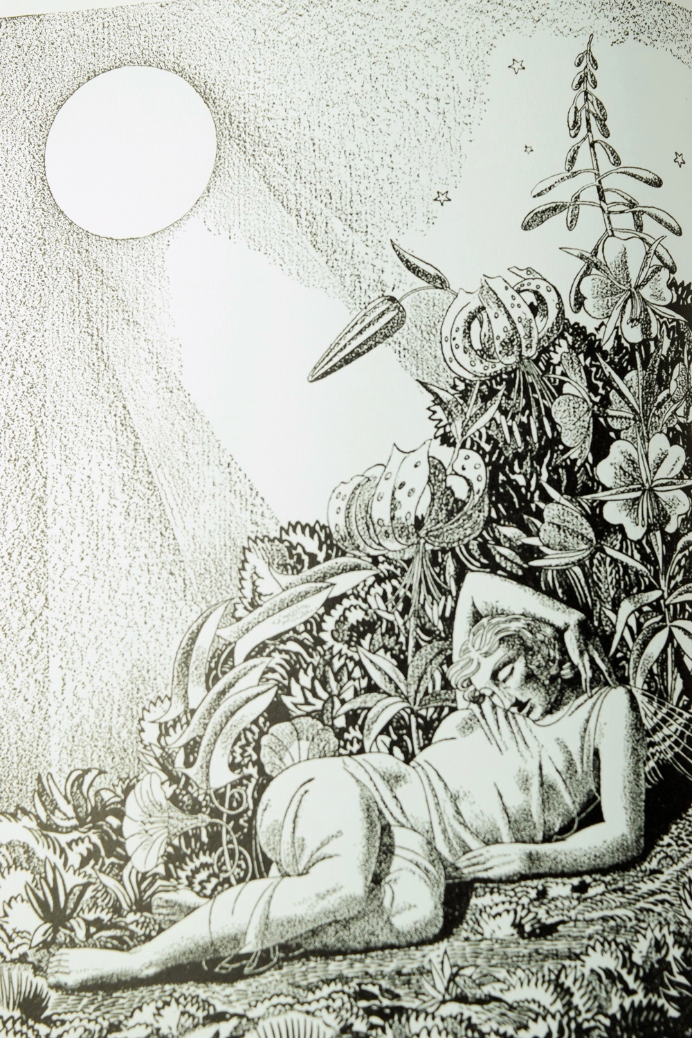 The Complete Works of Wm. Shakespeare, Illus.  by Rockwell Kent