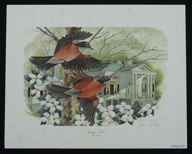 Pair of Unframed John Ruthven Prints - Robins and Cardinal