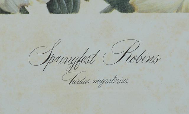 Pair of Unframed John Ruthven Prints - Robins and Cardinal