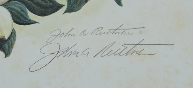 Pair of Unframed John Ruthven Prints - Robins and Cardinal