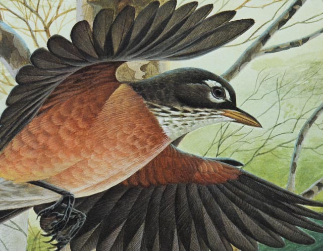 Pair of Unframed John Ruthven Prints - Robins and Cardinal