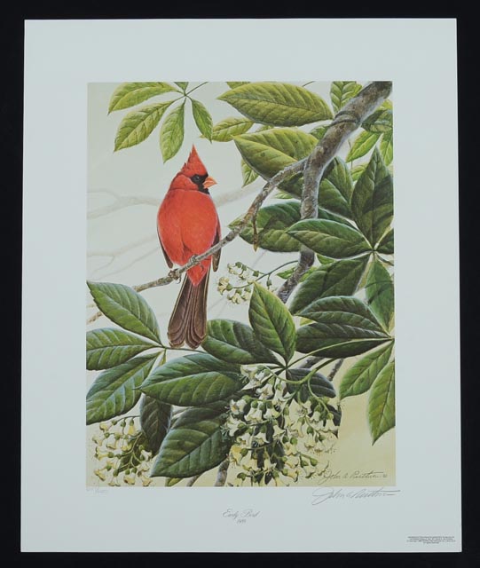 Pair of Unframed John Ruthven Prints - Robins and Cardinal