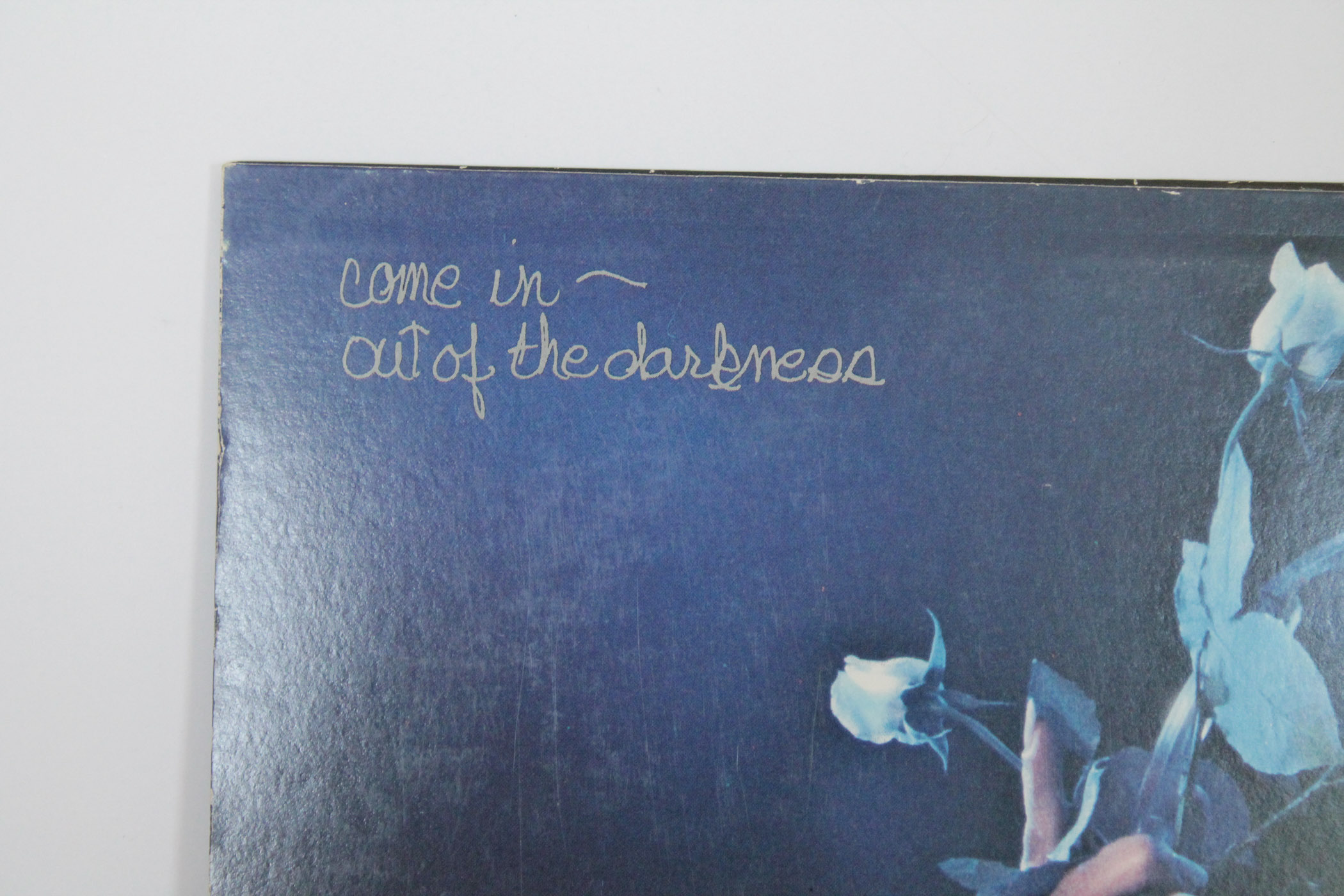 Fleetwood Mac and Stevie Nicks Albums