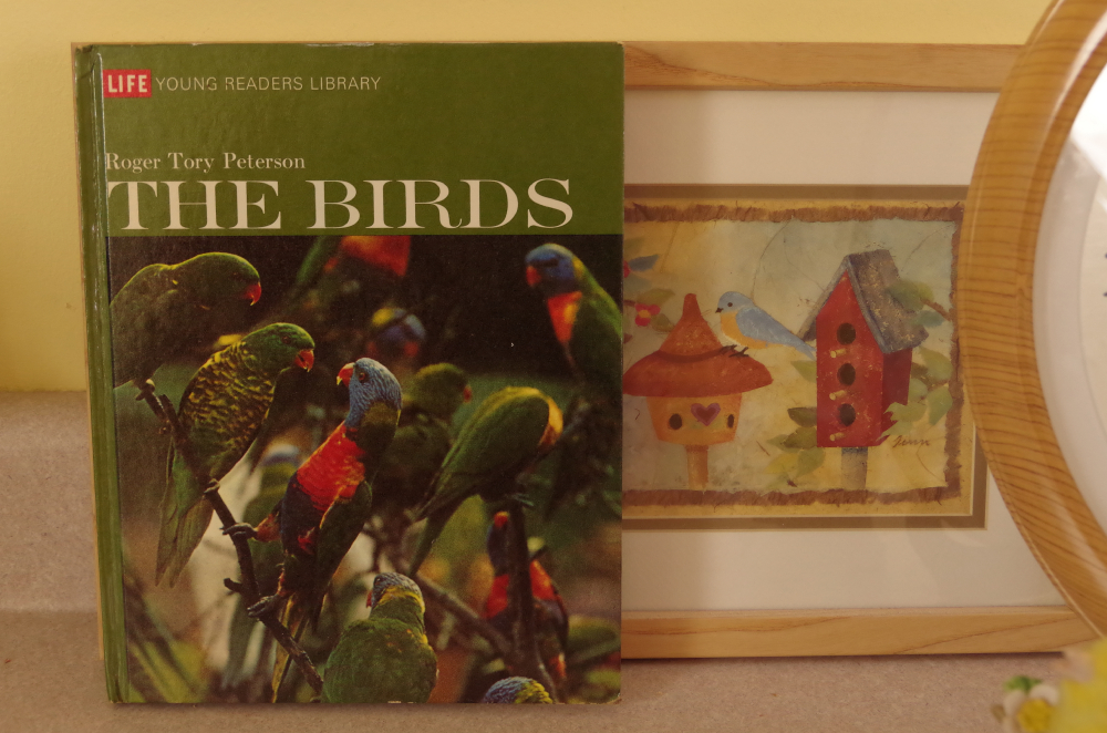 Bird Lovers Collection with Clock, Musical Figurine, & Book