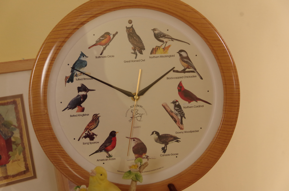 Bird Lovers Collection with Clock, Musical Figurine, & Book