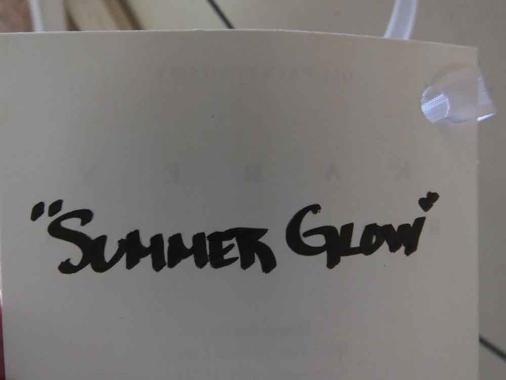 Original Oil Painting "Summer Glow" by Karen Rolfes