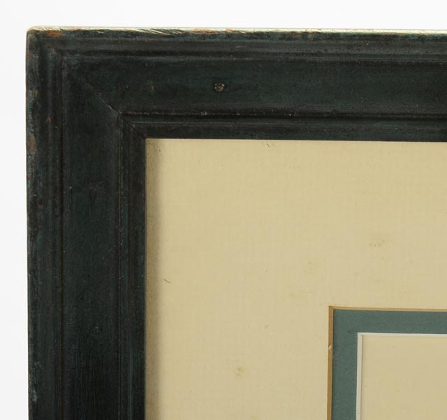 Pair of John Gould Hand Tinted Lithographs