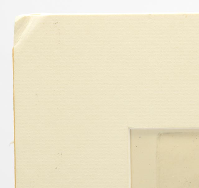 Maria Sibylla Antique Botanical Engraving