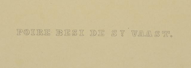 Two Hand Tinted Lithographs from "Annales de Pomologie"