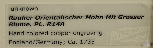 Hand Colored Engravings Circa 1735