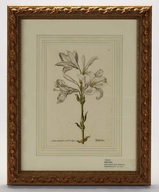 Hand Colored Engravings Circa 1735