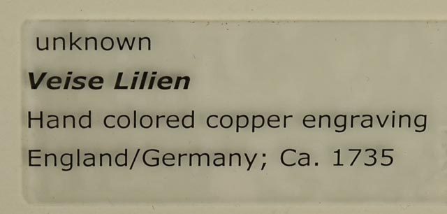 Hand Colored Engravings Circa 1735