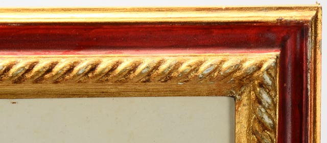 Ferula Neapolitana Botanical Ilustration