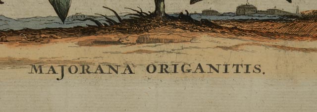 Antique Botanical Engraving by Abraham Munting