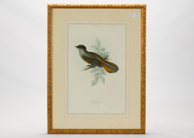 Hand Colored Lithograph Circa 1804-1881