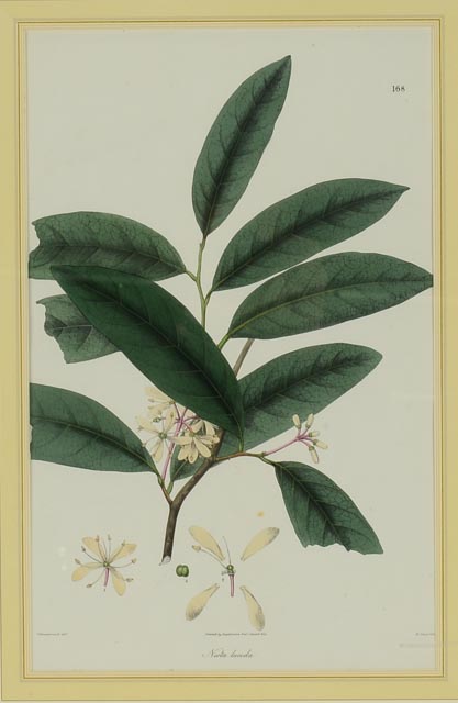 Hand Colored Lithograph Circa 1830