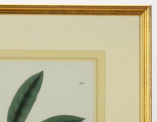 Hand Colored Lithograph Circa 1830
