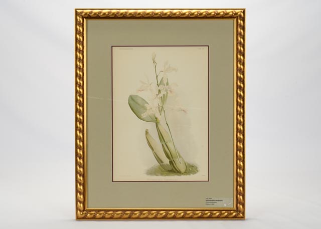 Pair of H.G. Moon Chromolithographs