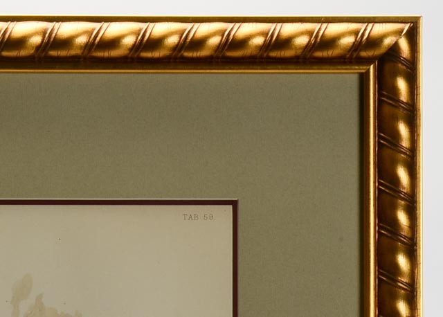 Pair of H.G. Moon Chromolithographs