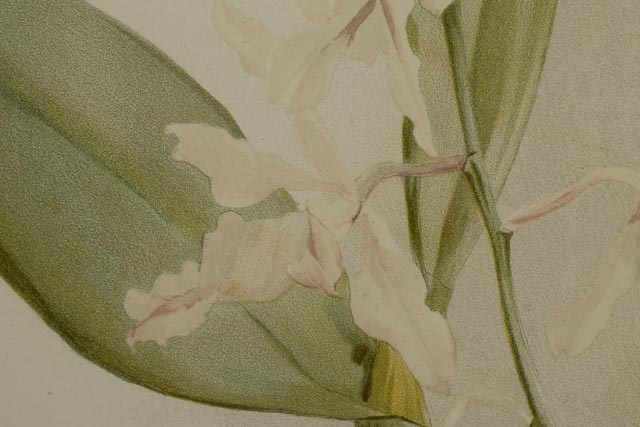 Pair of H.G. Moon Chromolithographs