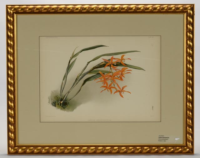 Pair of H.G. Moon Chromolithographs