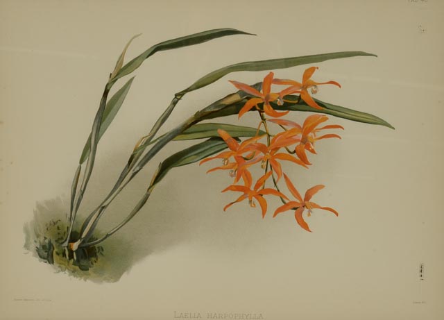 Pair of H.G. Moon Chromolithographs