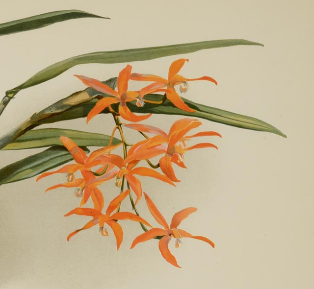 Pair of H.G. Moon Chromolithographs