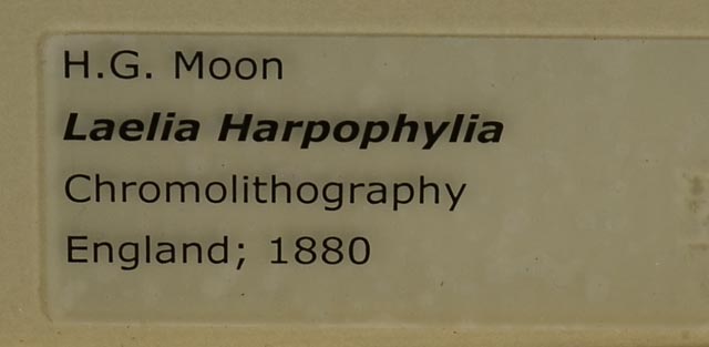 Pair of H.G. Moon Chromolithographs