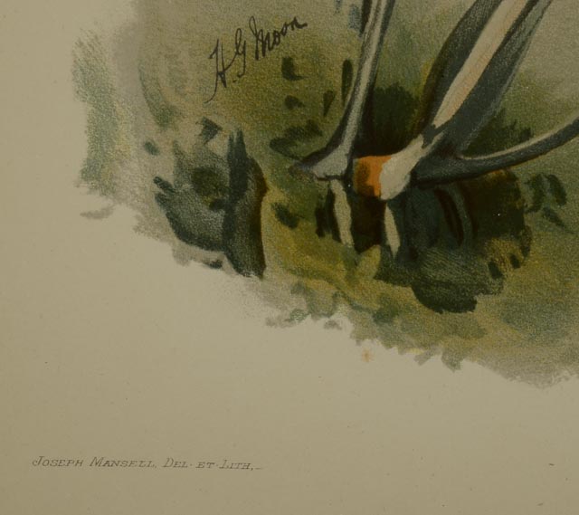 Pair of H.G. Moon Chromolithographs