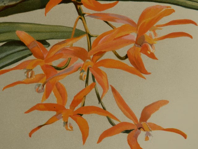 Pair of H.G. Moon Chromolithographs