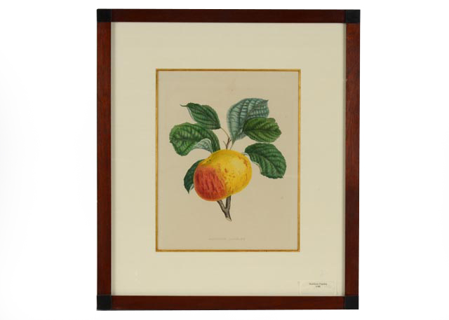 "Rambour Papeleu" Alexander Bivort Hand Tinted Lithograph