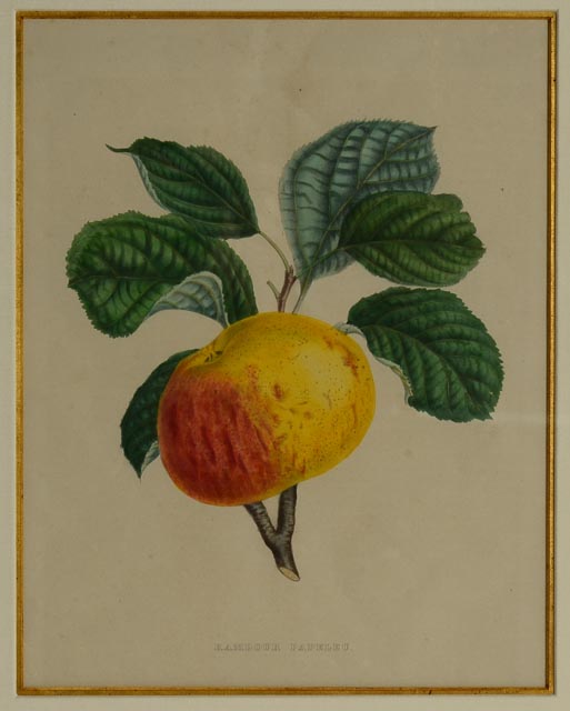 "Rambour Papeleu" Alexander Bivort Hand Tinted Lithograph