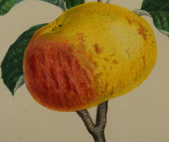 "Rambour Papeleu" Alexander Bivort Hand Tinted Lithograph