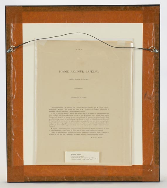 "Rambour Papeleu" Alexander Bivort Hand Tinted Lithograph