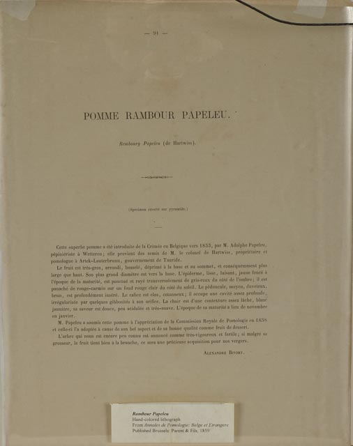 "Rambour Papeleu" Alexander Bivort Hand Tinted Lithograph