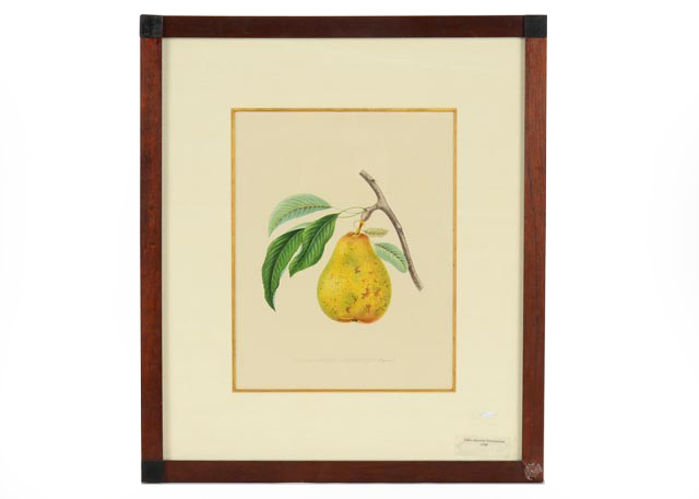 "Piore Docteur Bretonneau" A. Bivort Hand Tinted Lithograph