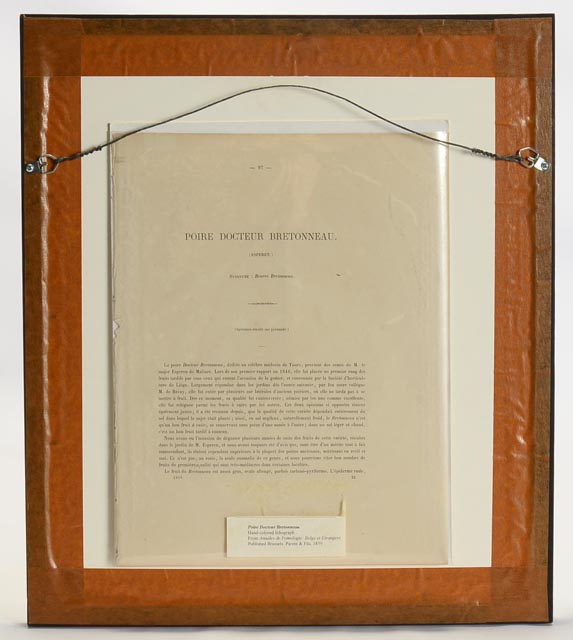 "Piore Docteur Bretonneau" A. Bivort Hand Tinted Lithograph