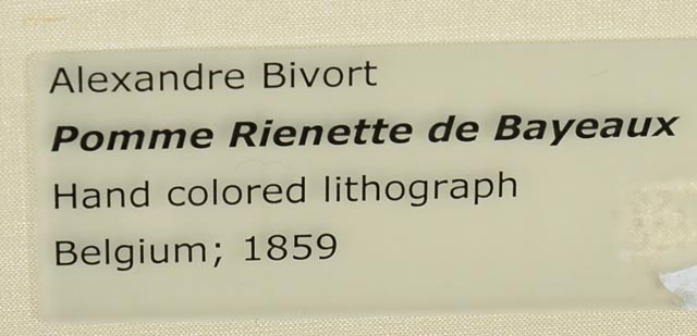 "Reinette De Bayeux" Hand Tinted Lithograph